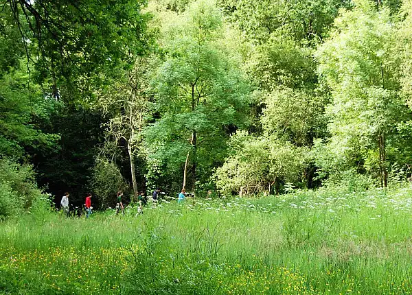 people walking in a field of wildflowers